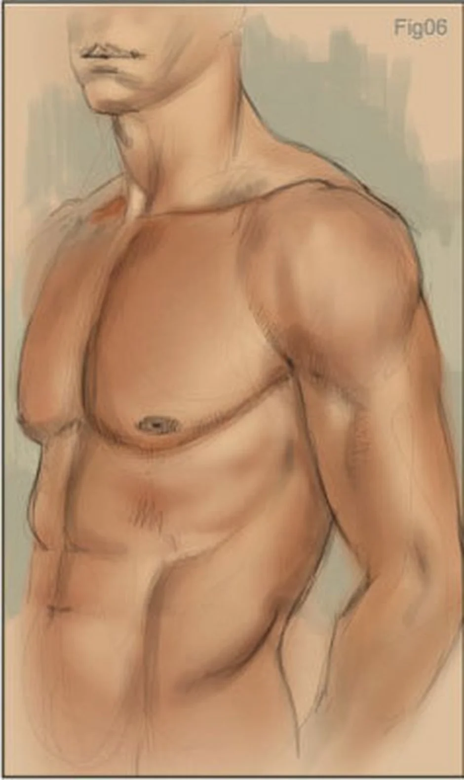 голые мужчины рисунок карандашом фото 58