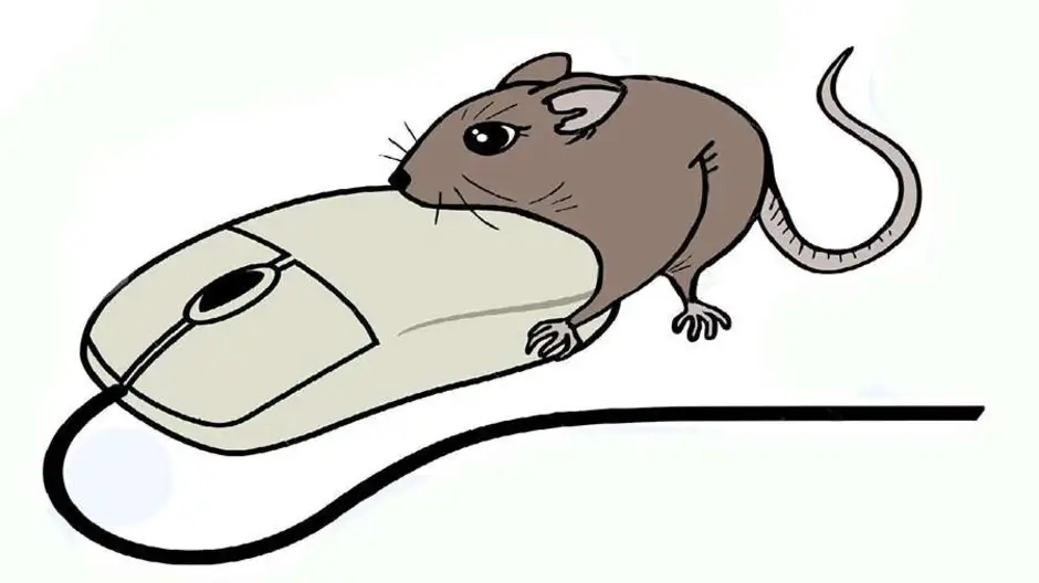 Миллер мыши. Компьютерная мышь рисунок. Мышь и компьютерная мышь. Мышка рисунок. Мышь это устройство.