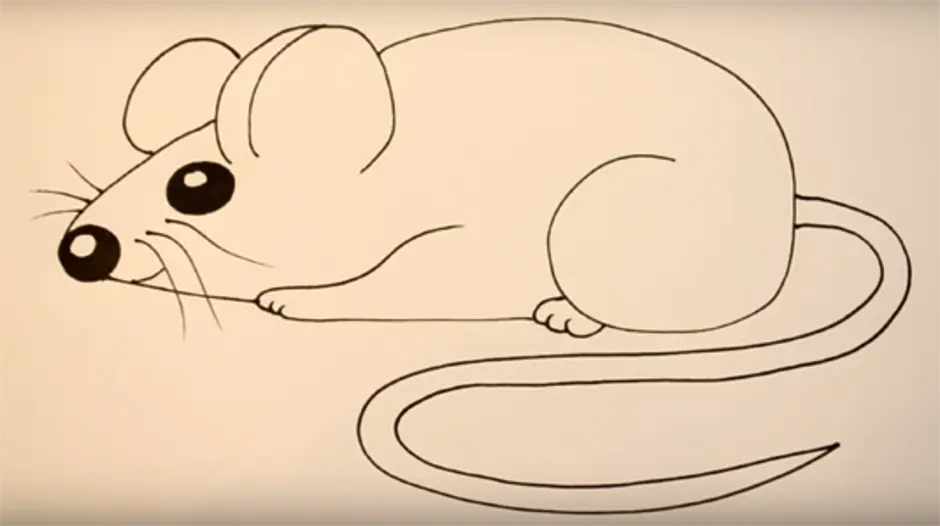 Как легко нарисовать мышку. Мышка рисунок для детей. Рисунок мыши для срисовки. Рисунок мышки для срисовки. Мышь рисунок для детей карандашом.