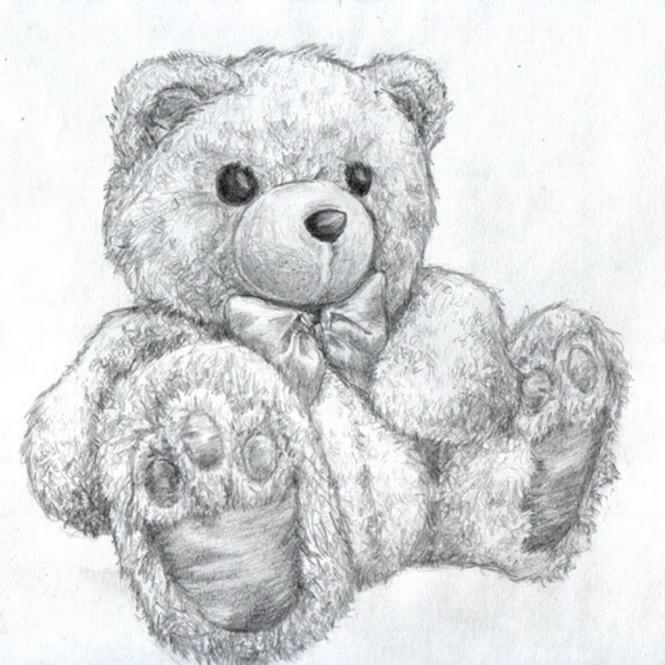 Рисунок плюшевого. Мишка Тедди. Мишка рисунок. Мишка карандашом. Медвежонок рисунок карандашом.