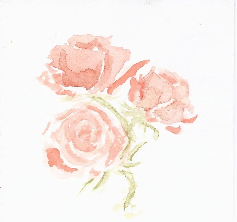 Акварельный контур. Акварельные цветы. Розовые Акварельные цветы. Нежные Акварельные розы. Акварельные цветы бежевые.