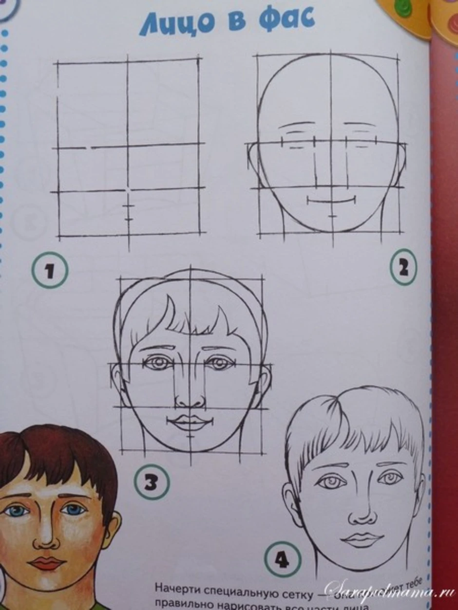 Портрет человека ребенку. Схема рисования лица. Лицо для рисования. Схема поэтапного рисования портрета. Лицо человека рисунок.