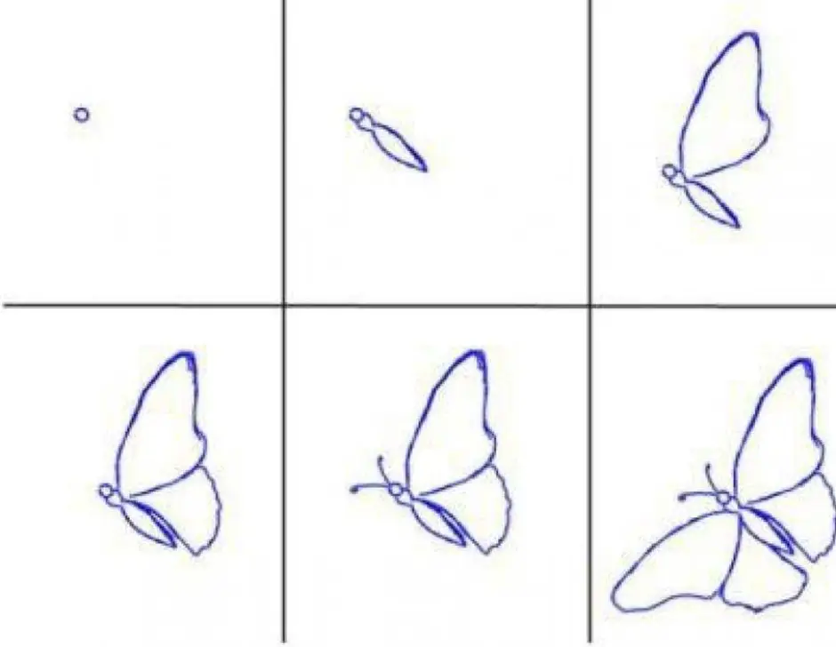 Как нарисовать бабочку карандашом и красками — поэтапные мастер-классы с фото примерами