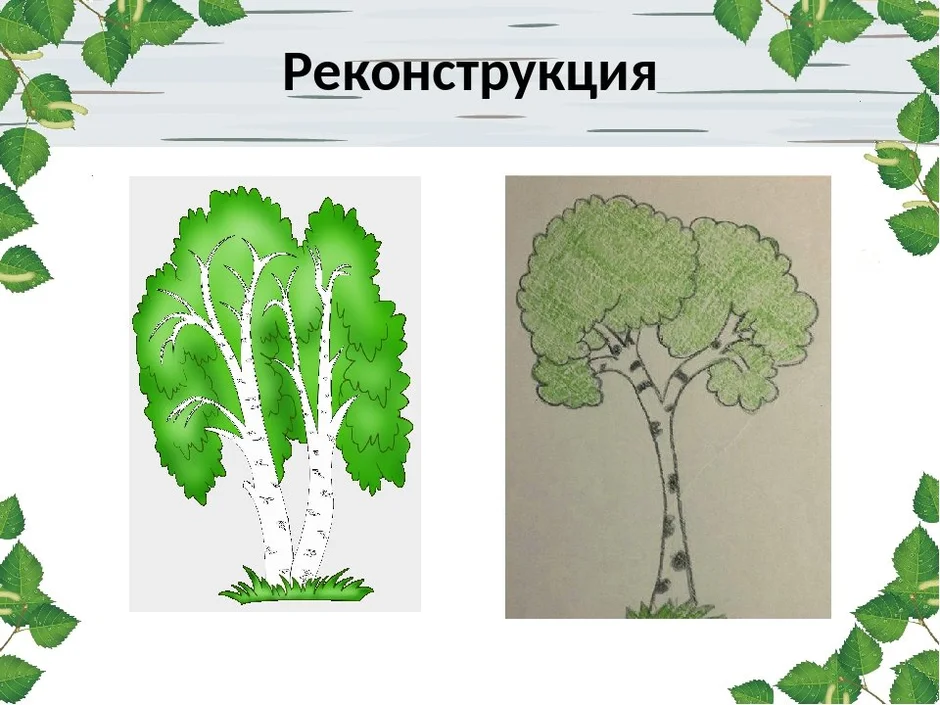 Рисуем березку 2 класс