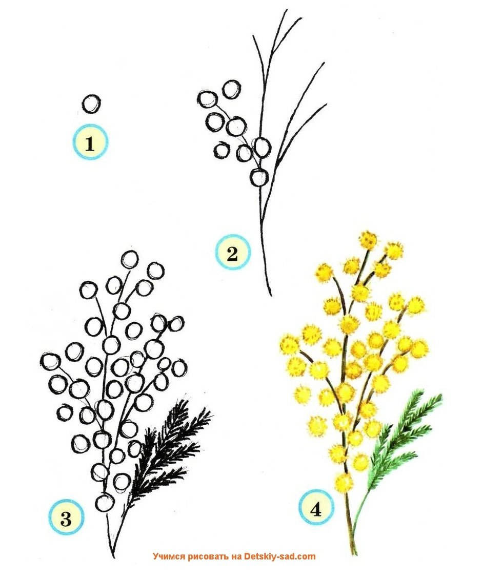 Как нарисовать веточку легко