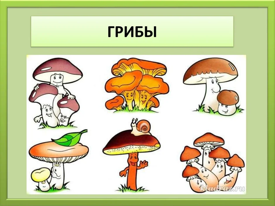 Назови 3 гриба. Картинки обобщающие группу предметов грибы. Шесть грибов. Спасибо за внимание грибы. Группа предметов презентация 1 класс.