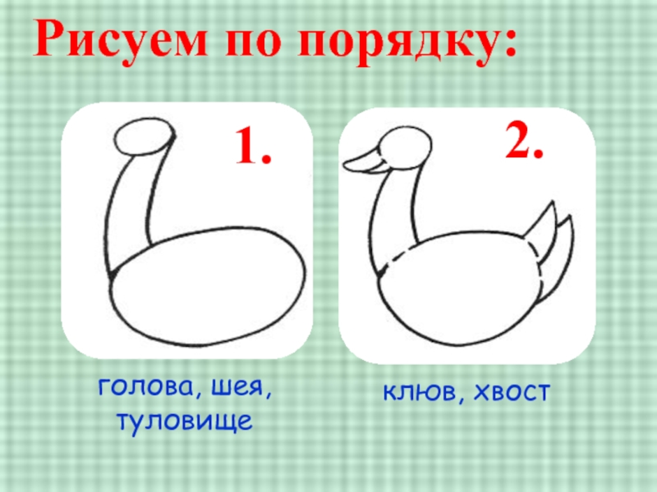 Как нарисовать гуся