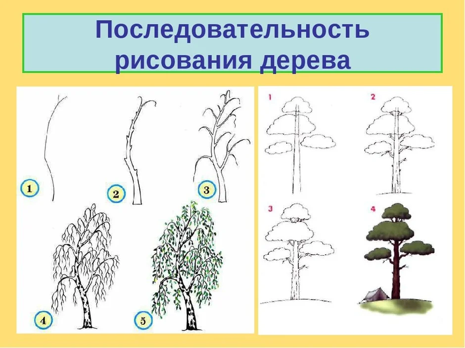 Как нарисовать дерево 2 класс