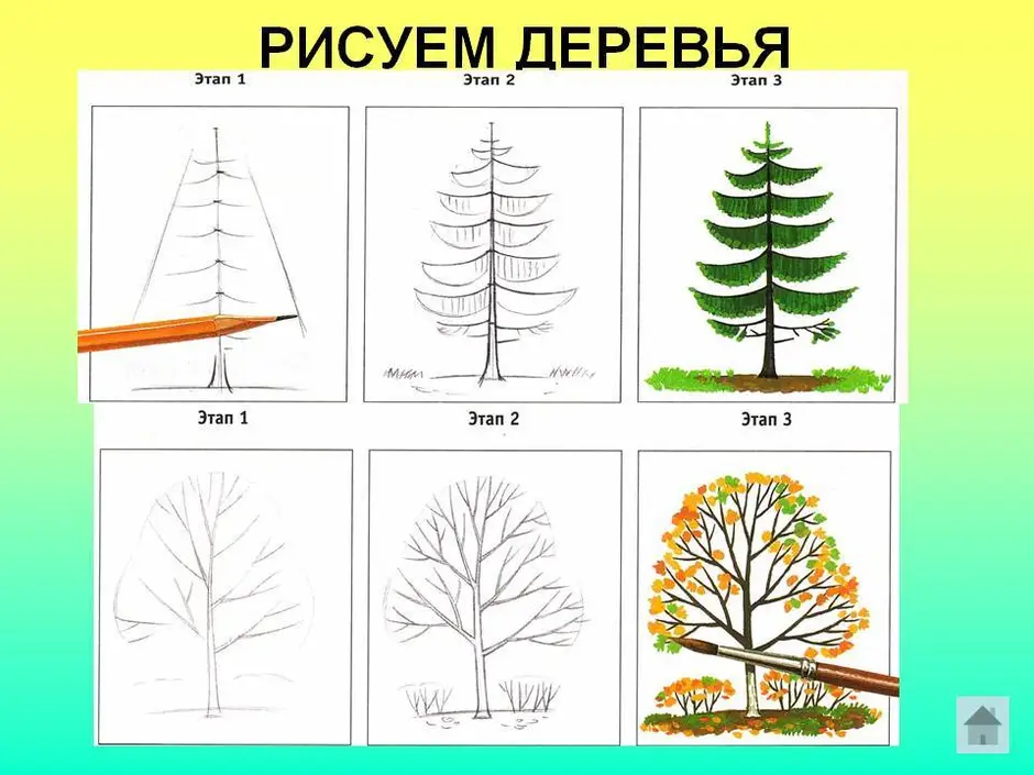 Рисунок дерево 1 класс