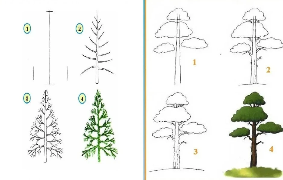 Дерево по шагово рисунок