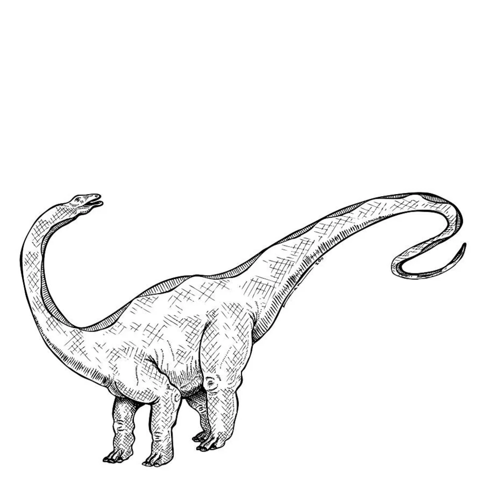 Картинки динозавров нарисовать. Динозавр рисунок. Динозавр карандашом. Динозавры для рисования. Динозавр рисунок для детей карандашом.