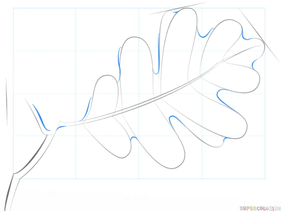 Рисуем дубовый лист карандашом