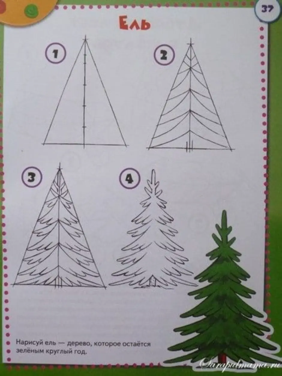 Как рисовать ель карандашом