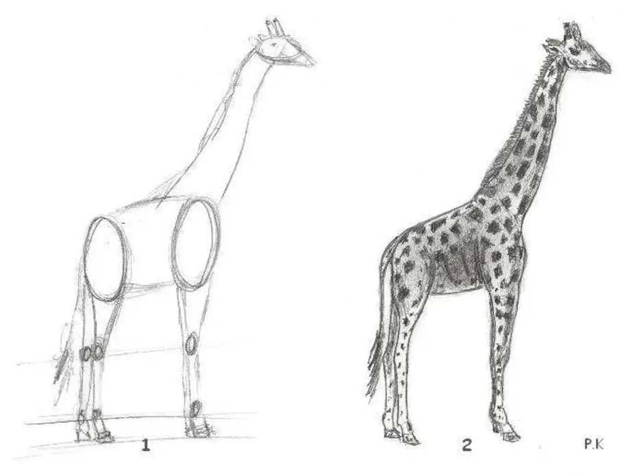 Жираф поэтапно для детей. Рисунок жирафа. Жираф рисунок карандашом. Рисование жирафа с детьми. Рисунок жирафа карандашом.