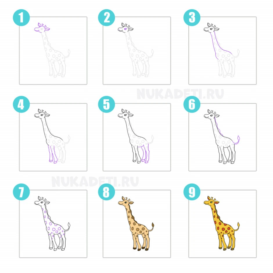 Жираф поэтапно для детей. Схема рисования жирафа. Схема поэтапного рисования жирафа. Как рисовать жирафа для детей поэтапно. Схема рисования жирафа в подготовительной группе.