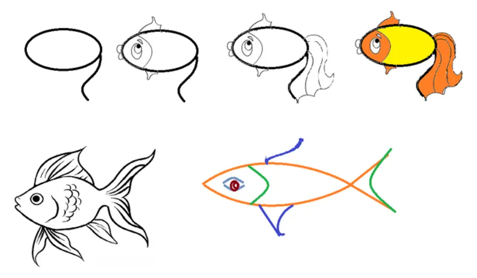 Как нарисовать рыбку. Поэтапное рисование рыбы. Схема рисования рыбки для детей. Поэтапное рисование золотой рыбки. Поэтапное рисование рыбки для детей.