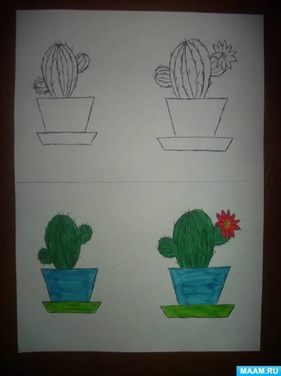 Конспекты уроков комнатными растениями. Рисование комнатные цветы. Рисование комнатные растения подг гр. Рисование комнатные растения средняя группа. Рисование комнатные растения старшая группа.