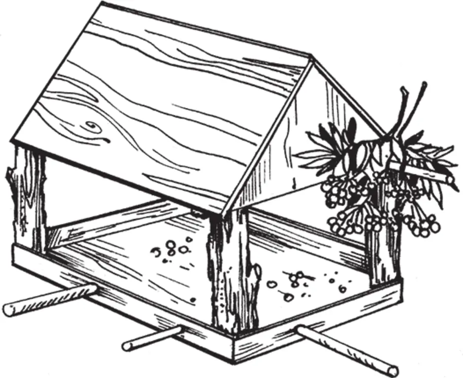 Нарисовать кормушку для птиц 1 класс окружающий мир