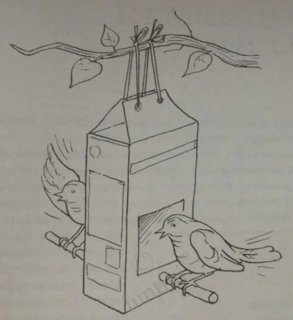 Нарисовать кормушку для птиц 1 класс окружающий мир