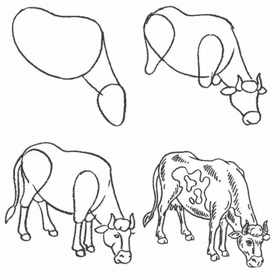 Как легко и быстро нарисовать корову