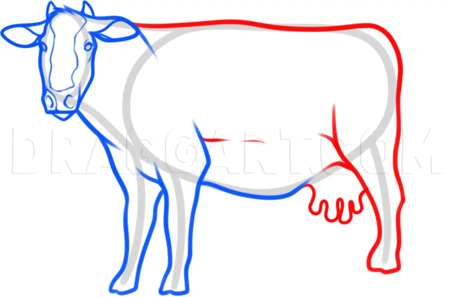 Как нарисовать корову легко