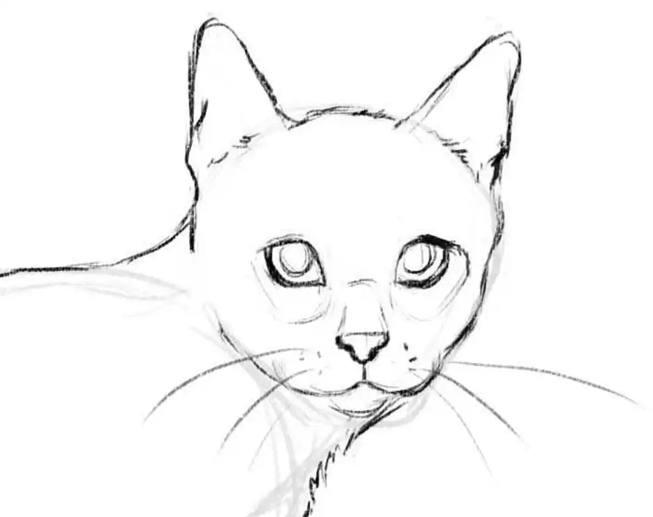 Картинки кошек рисовать. Кошка карандашом. Кот рисунок. Рисование кошки. Нарисовать кошку карандашом.