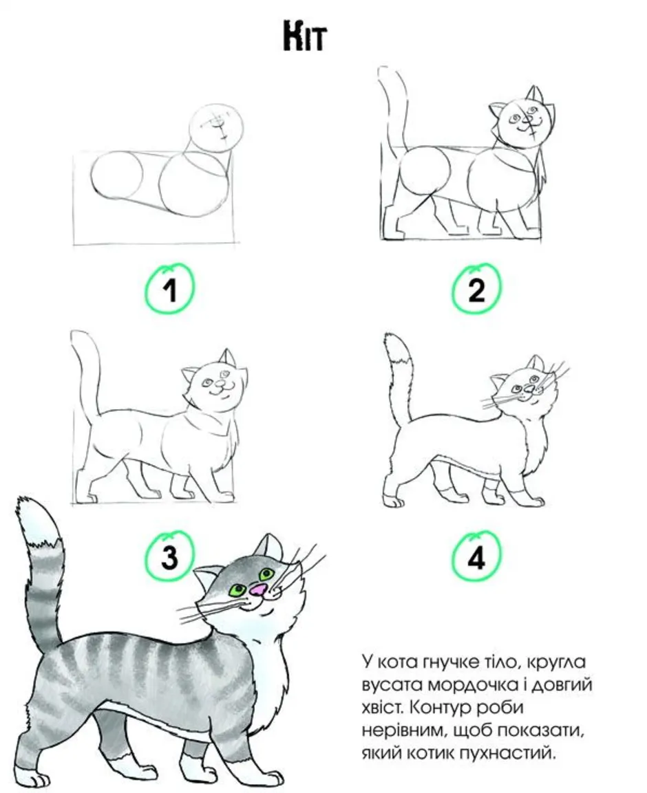 Нарисовать кошку 1 класс окружающий мир образец проект