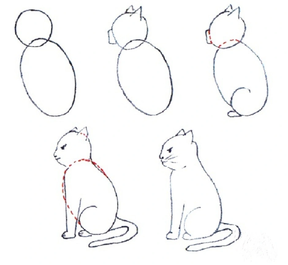 Как нарисовать кота поэтапно для детей. Пошаговые рисунки. Схема рисования кошки. Поэ апное рисование кошки. Поэтапный рисунок кошки.