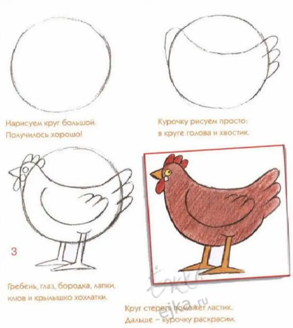 Курица рисунок поэтапно