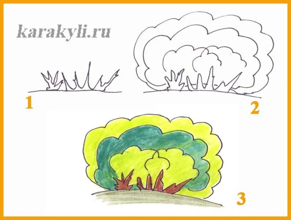 Нарисовать кустарник 2 класс окружающий