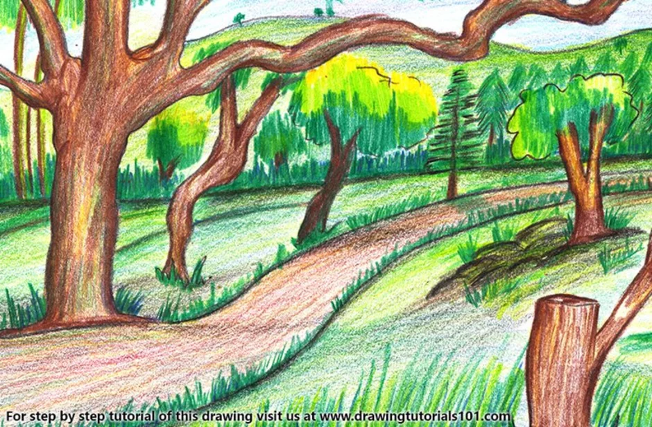 Лес карандашом легко. Пейзаж цветными карандашами. Пейзаж цветными карандашами для детей. Рисунок леса. Лес цветными карандашами для детей.