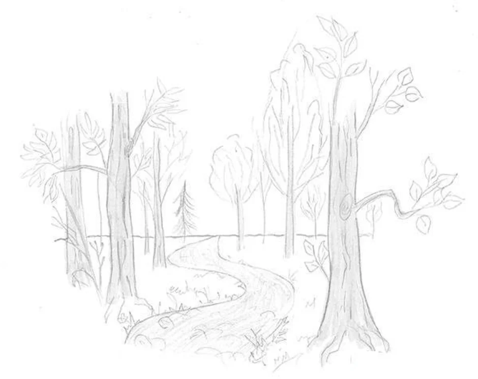 Лес карандашом легко. Пейзаж рисунок карандашом. Рисунки карандашом природа. Зарисовки леса. Набросок леса.