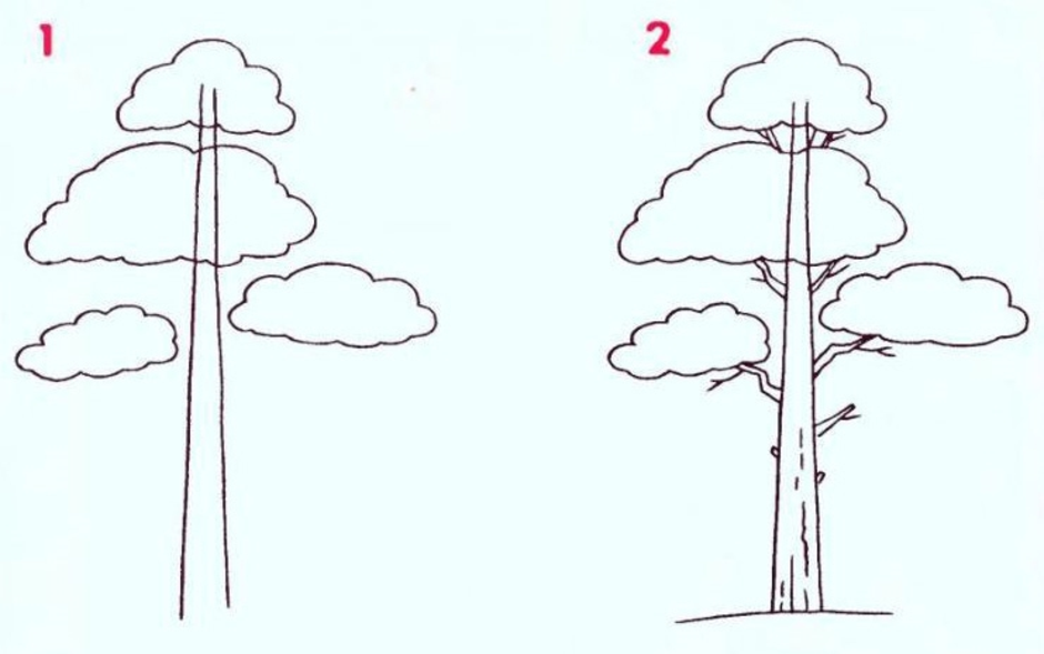 Лес нарисовать карандашом ребенку