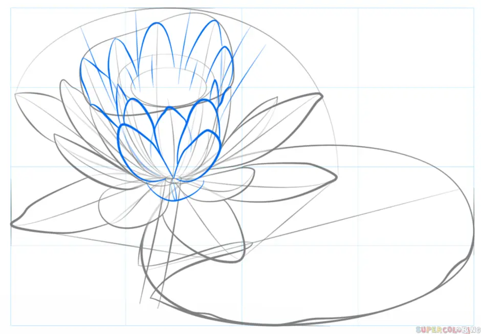 Как нарисовать цветок кувшинка