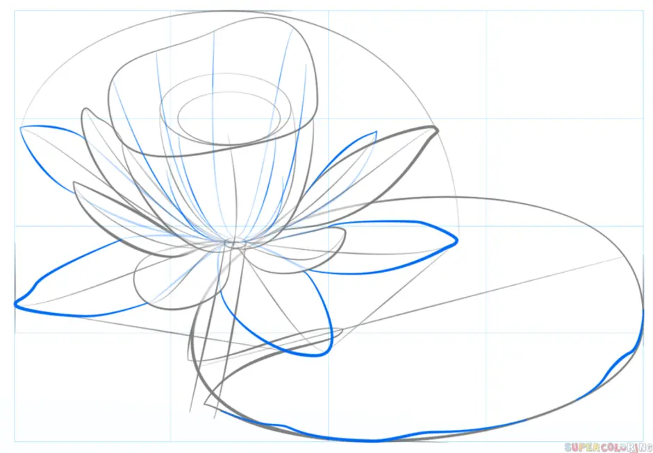 Как нарисовать цветок кувшинка