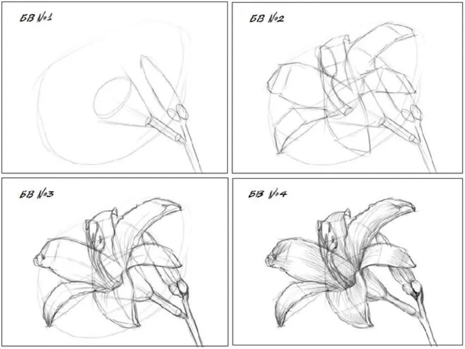 Уроки рисования цветов. Поэтапное рисование лилии. Лилия поэтапное рисование. Схема рисования лилии. Пошаговое рисование лилии.