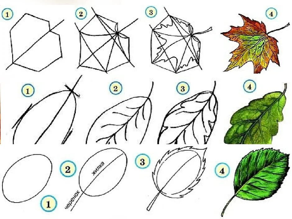 Как нарисовать лист поэтапно