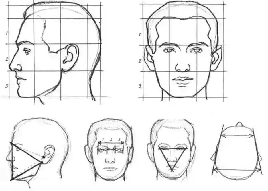 Как правильно нарисовать лицо человека
