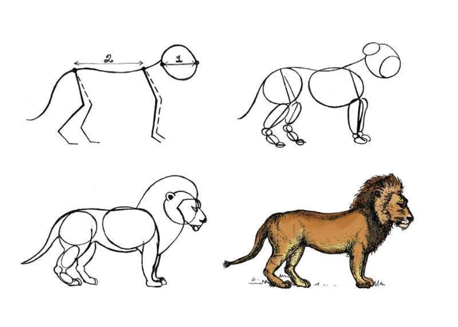 Нарисовать льва поэтапно для детей