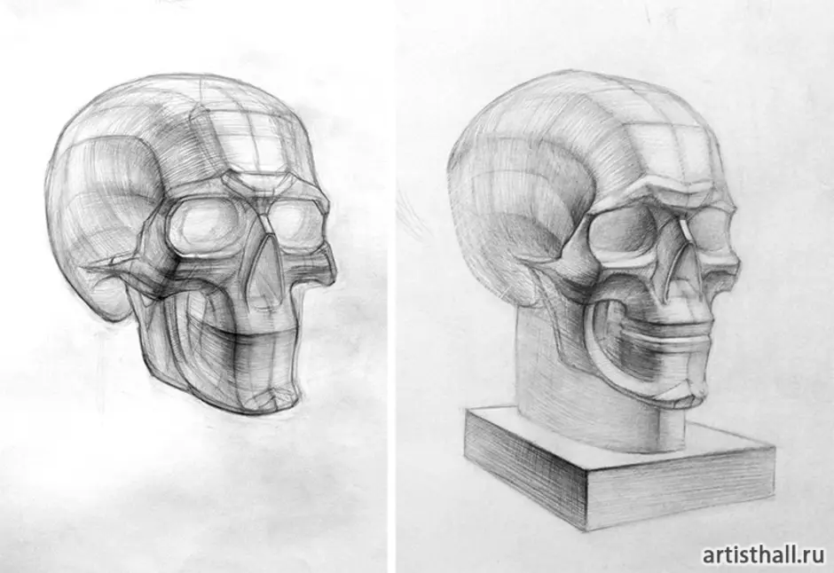 Череп академ рисунок