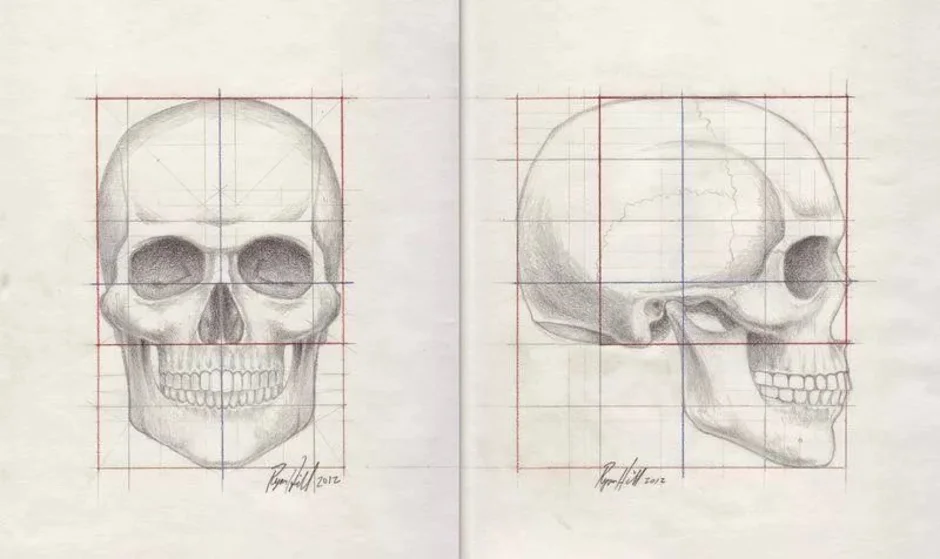 Как нарисовать череп человека поэтапно карандашом для начинающих