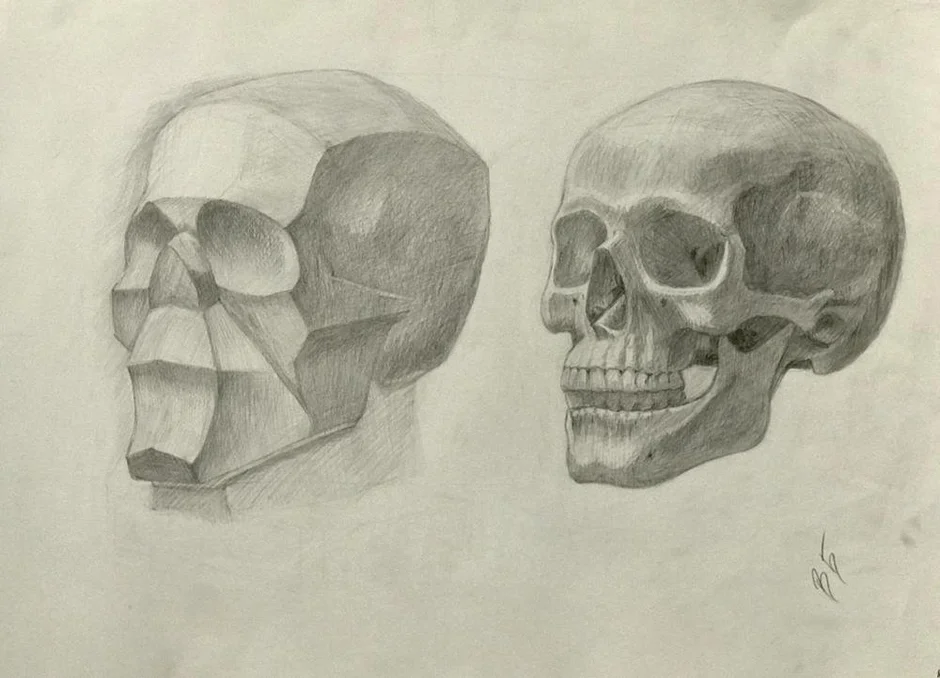 Череп 3 4 рисунок