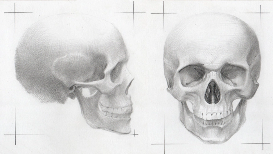 Как нарисовать череп в фас