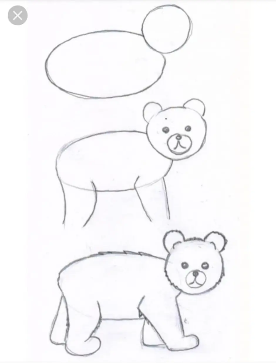 Рисование пошагово медведь для детей старшей группы