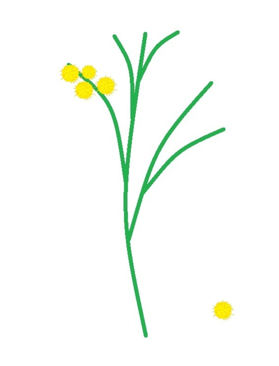 Мимоза раскраска для детей 3 4. Стебель цветка. Стебли для рисования цветов. Стебельки для цветов детские. Шаблоны цветков для рисования пальчиками.