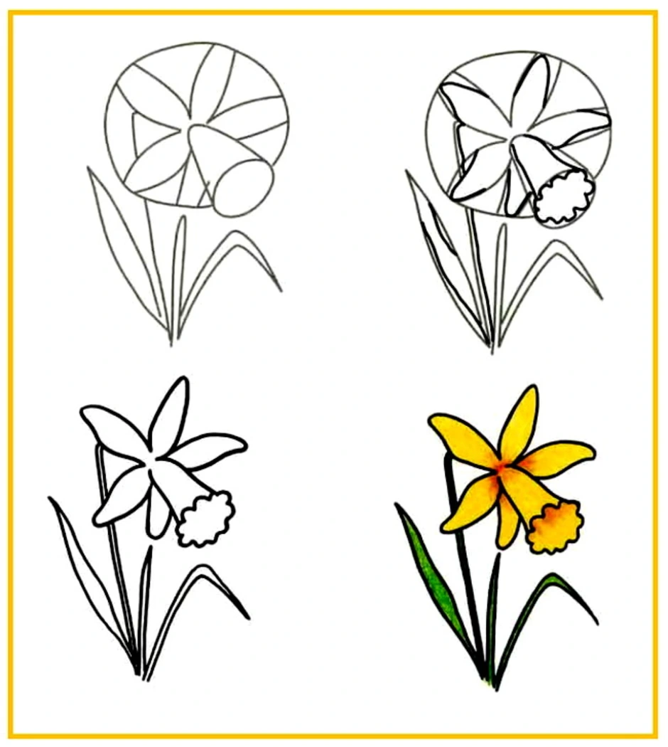 Рисуем нарциссы поэтапно для детей поэтапно