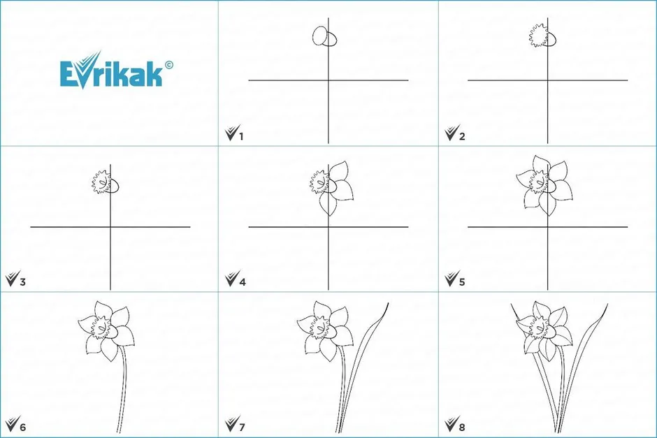 Рисуем нарциссы поэтапно для детей поэтапно