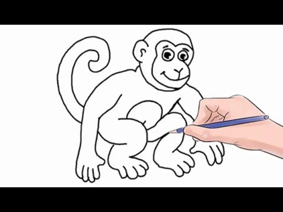 Рисунок про обезьянку 3 класс литературное чтение. Мартышка рисунок. Обезьяна карандашом. Нарисовать обезьянку. Рисунок обезьянки легкий.