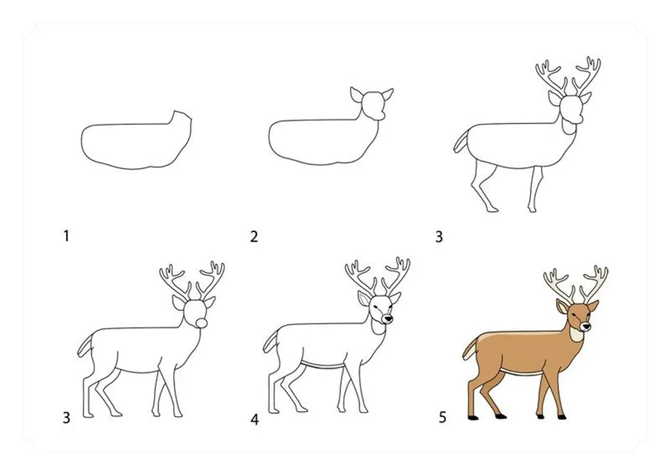 Нарисовать оленя поэтапно легко