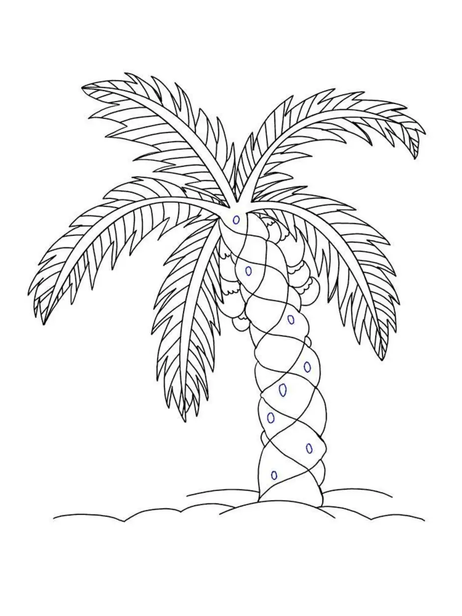 Раскраска Пальма и шаблон Пальмовый лист